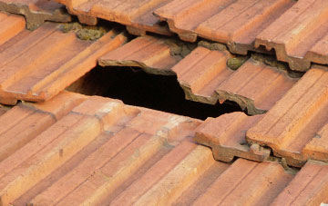 roof repair Durleighmarsh, West Sussex